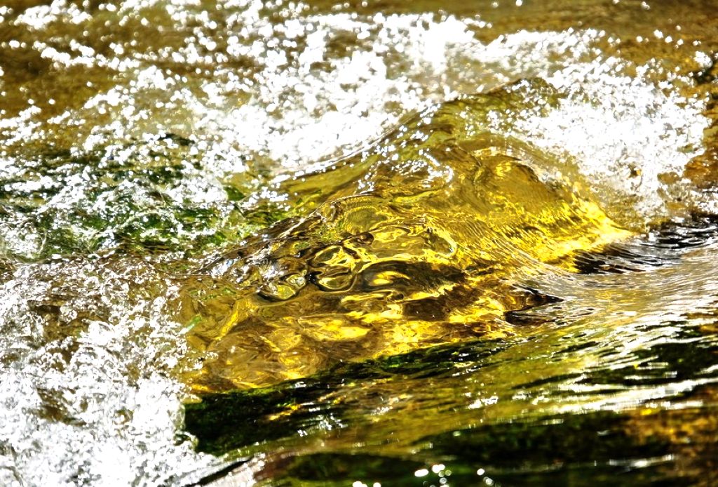 Searching for gold in a waterfall